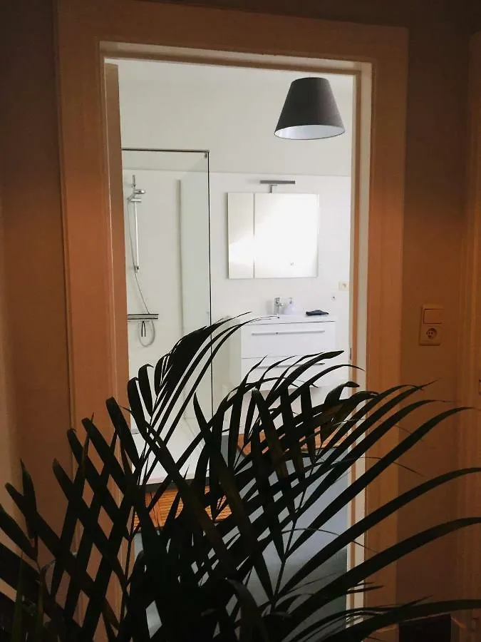 Loft Saint Remacle Appartement Luik