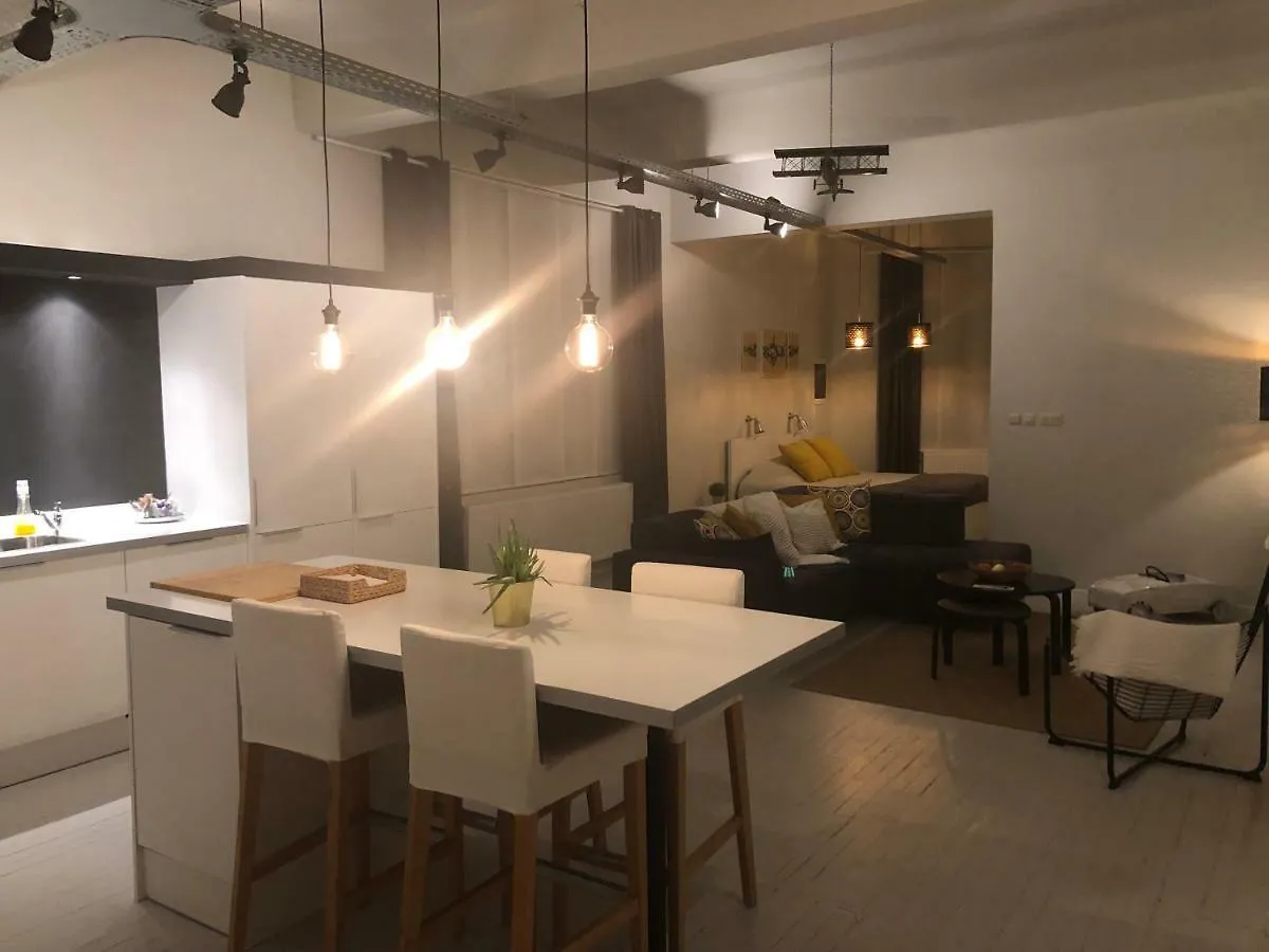 Loft Saint Remacle Appartement Luik
