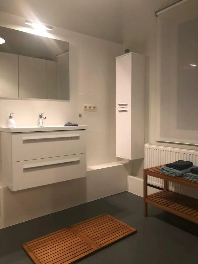 Loft Saint Remacle Appartement Luik